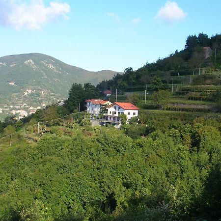 Agriturismo Il Castagno Βίλα Agerola Εξωτερικό φωτογραφία