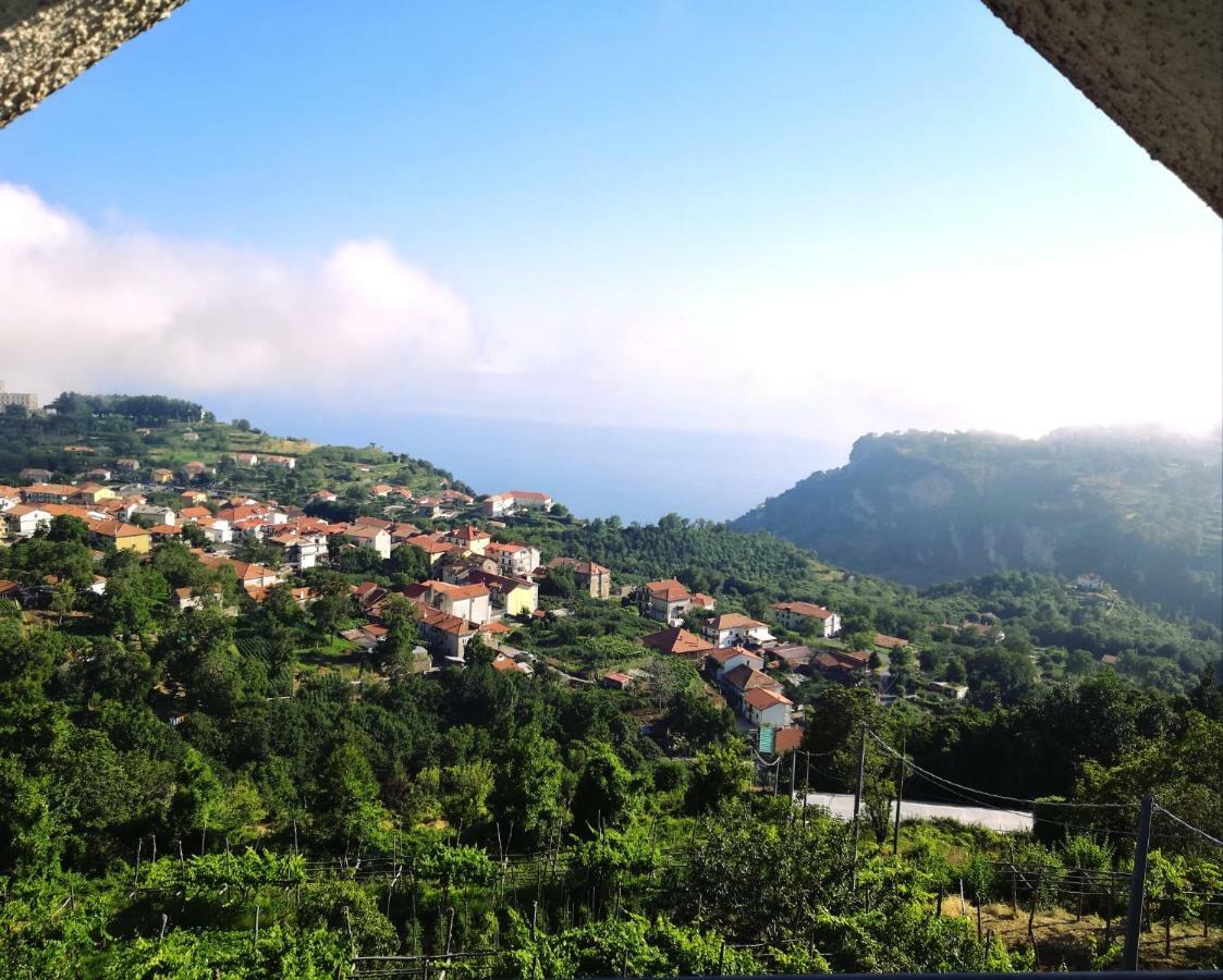 Agriturismo Il Castagno Βίλα Agerola Εξωτερικό φωτογραφία
