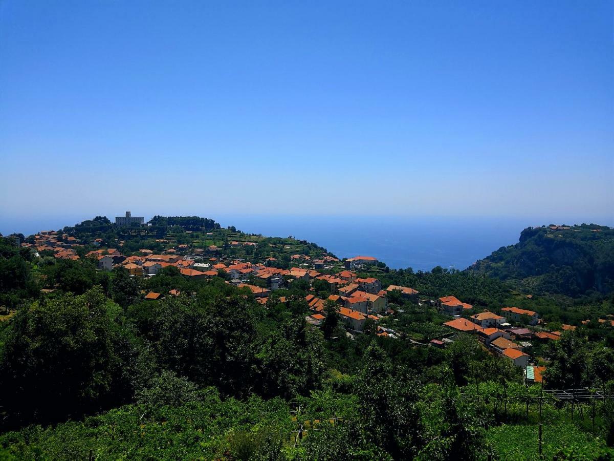 Agriturismo Il Castagno Βίλα Agerola Εξωτερικό φωτογραφία