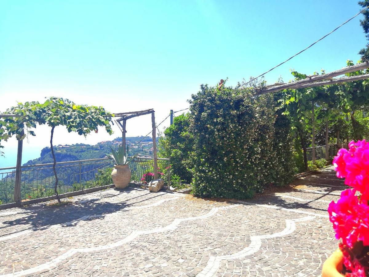 Agriturismo Il Castagno Βίλα Agerola Εξωτερικό φωτογραφία