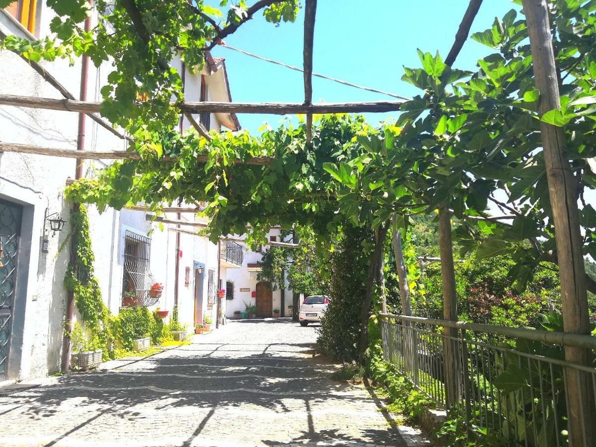 Agriturismo Il Castagno Βίλα Agerola Εξωτερικό φωτογραφία