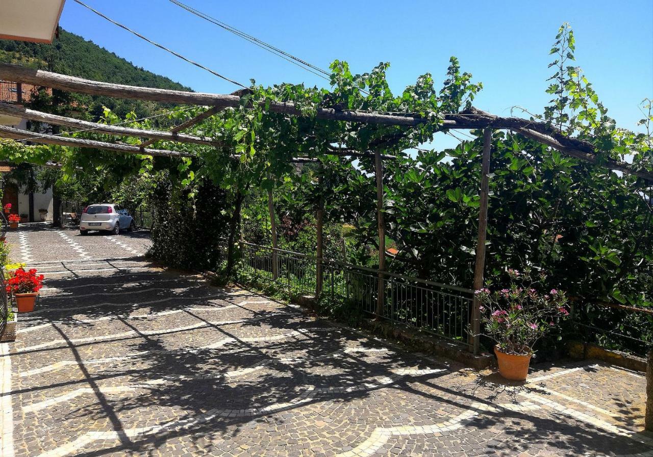 Agriturismo Il Castagno Βίλα Agerola Εξωτερικό φωτογραφία