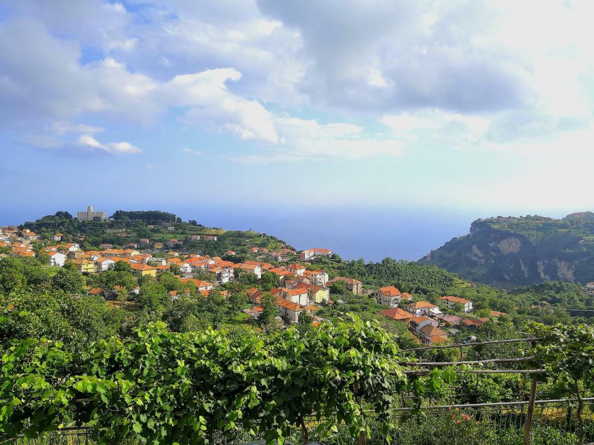 Agriturismo Il Castagno Βίλα Agerola Εξωτερικό φωτογραφία